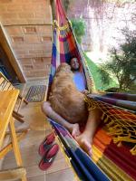 Chalet mit 2 Schlafzimmern