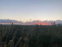 Cardón Alley Studio #2 - 2nd Floor - B&B La Ventana