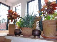 Riad Sesame - B&B