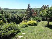 Forrás-hegyi Apartman - B&B Felsőörs