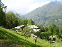 Joy Center - Casa e Appartamenti Vacanza in Val Pellice - Bed and Breakfast Villar Pellice