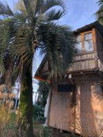 Деревенский домик,Eco Chakvi - B&B Chakvi