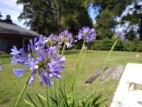 Casa Quinta Roen Gral Rodriguez zona oeste - B&B General Rodríguez