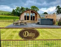 B&B Rhayader - Daisy - Bed and Breakfast Rhayader