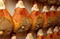 La Ca' Tòrta - Rustico ristrutturato - B&B Neviano degli Arduini