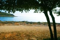 Apartment Macan - B&B Bale