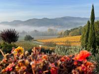 Incantevole Mugello - Chambres d’hôtes Scarperia