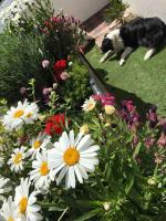 Casa con 3 Camere da Letto