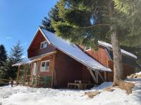 Vén Fenyő Kunyhó - B&B Ciceu