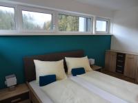 Deluxe Two-Bedroom Apartment