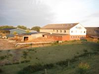 Hof Rickelsbüll - Nordseeurlaub auf dem Biobauernhof - B&B Rodenäs