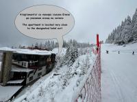 GrandView Apartment Grand Monastery - B&B Pamporovo