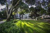 Apartment mit 1 Schlafzimmer in der 2. Etage 