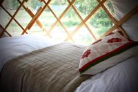 Willow Yurt - Chambres d’hôtes Fernhurst