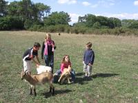 Gîte Palis L'école d'antan - B&B La Gacilly