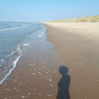 Villa Jean gezellig appartement met zeezicht - Chambres d'hôtes Blankenberge