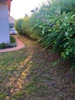 Your cosy getaway halfway between lake and forest - B&B Vonyarcvashegy