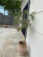 Villa Oleander Agios Nikolaos Loutra Edipsou - B&B Loutrá Aidhipsoú