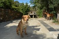 Cortijos Rey Fini - Ferienwohnung Granada