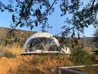 Teela- The Glamping Resort, Jaipur - Bed and Breakfast Udāsar