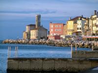 Warm and Comfy Piran Apartment with Parking! - B&B Piran