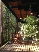 Cottage with Shared Bathroom (4 Adults)