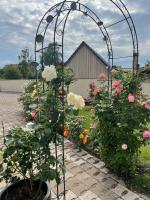 Gemütliche Ferienwohnung - B&B