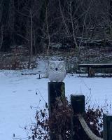 Appartamento con Vista Giardino