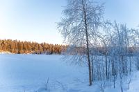 Gerika 1 - Bed and Breakfast Enonkoski