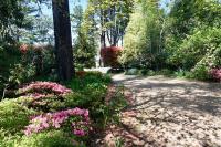 Cloudland Garden Oasis - B&B Blackheath