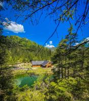 Chalet Wildalpen (in Ruhelage & mit Wellness) - Ferienwohnung Wildalpen