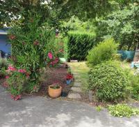 Appartement avec terrasse en lisière de forêt - Bed and Breakfast Biscarrosse