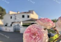 Villa Lilac - walking distance to beach - B&B