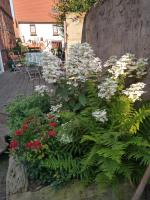 Ferienhaus -Wesertal - Bed and Breakfast Gottstreu