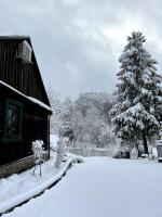Drewniana chata nad stawem - B&B
