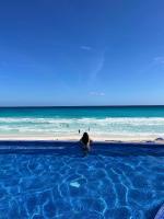 Ocean Seaview Dream condo next to clubs - B&B Cancún