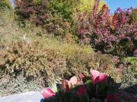 Aux larges pierres - B&B Anhée