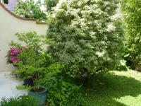 Gite aux Minimes - Au jardin des alouettes - Chambres d’hôtes Toulouse