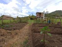 Cabaña Campestre - Ciudad Memoria - Ferienwohnung Sogamoso