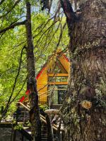 Casa del Árbol - Malalcahuello - B&B Malalcahuello