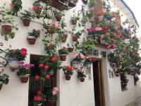 La Puerta de la Axerquía Parking y Wifi Gratis - Ferienwohnung