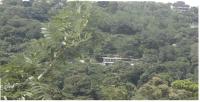 Glenview hotel & homestay - Ferienwohnung