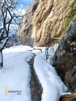 Appartamento con 1 Camera da Letto e con Giardino