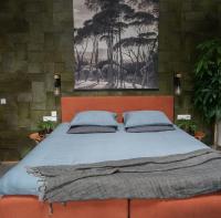 Habitación Deluxe con cama extragrande