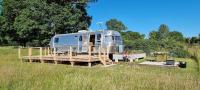 Wild Spa Cottage - B&B Southwater
