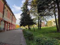 Szare Miraże - B&B