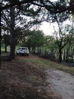 Los Gimenitos - Bed and Breakfast El Trapiche