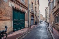 Le Vélane 45m2 - Toulouse Centre - Proche Capitole - B&B