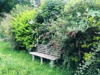 Single Room with Bathroom