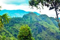 Ella Nimal Nest Inn - B&B Ella Town